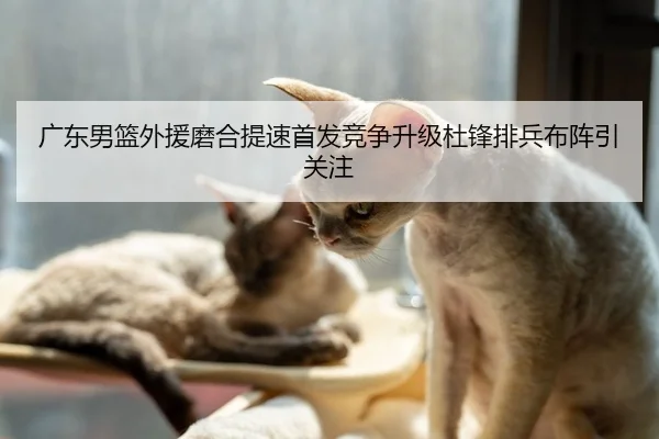 广东男篮外援磨合提速首发竞争升级杜锋排兵布阵引关注