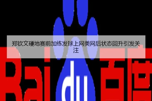 郑钦文硬地赛前加练发球上网美网后状态回升引发关注