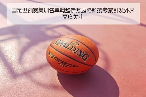 国足世预赛集训名单调整伊万边路新援考察引发外界高度关注